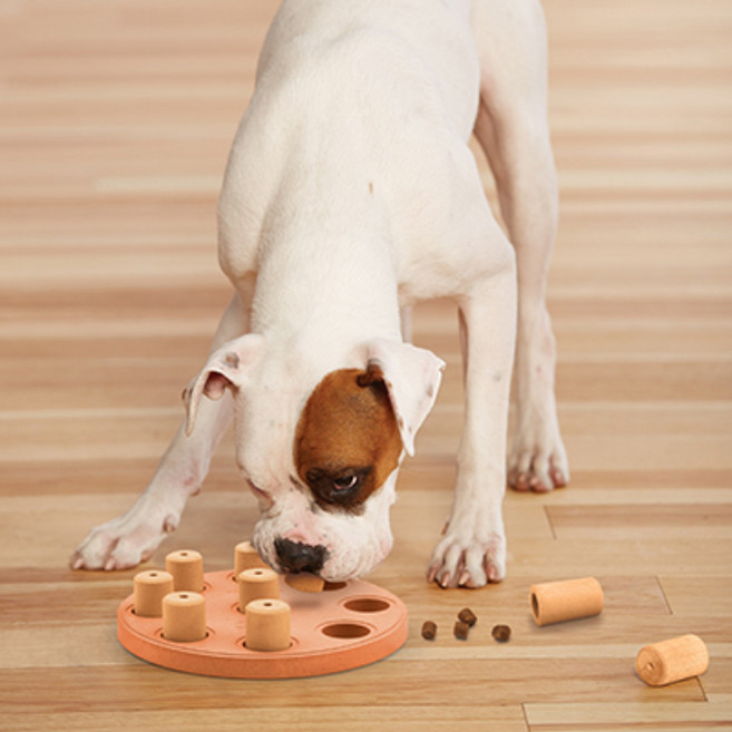 니나오토슨 도그스마트 컴포지션 에코 퍼즐노즈워크 강아지 고양이 IQ장난감 23 x 23 x 5.8 cm, 혼합색상, 1개