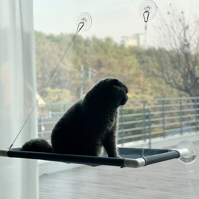 그레이독 고양이 뉴 윈도우 해먹, 그레이(페브릭), 파이프(화이트), 1개