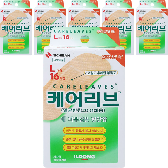 케어리브 밴드, 6개