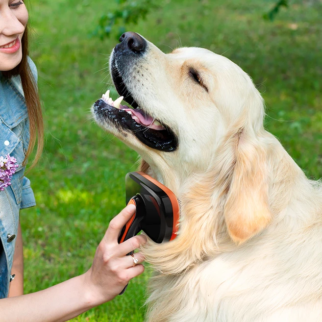 바비온 반려동물 소프트핀 쓱싹 슬리커 브러쉬 L, 블랙, 1개 - 쿠팡
