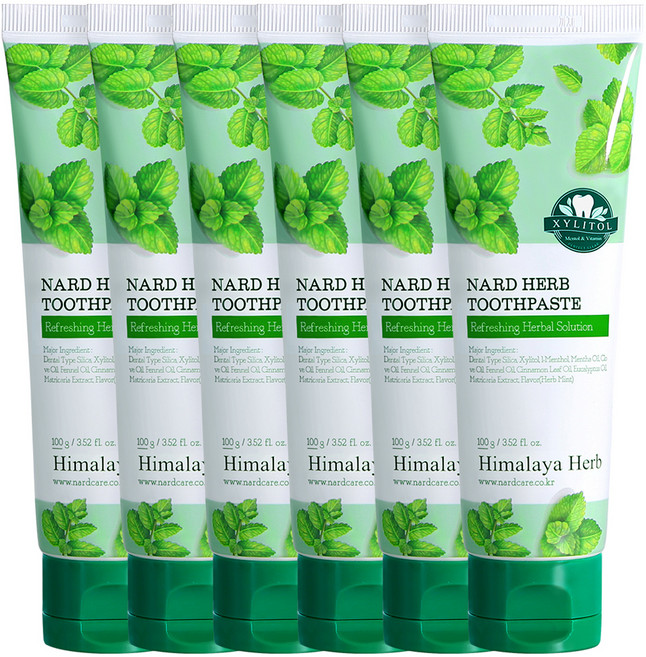 나드 부케가르니 구취케어 치약, 100g, 6개