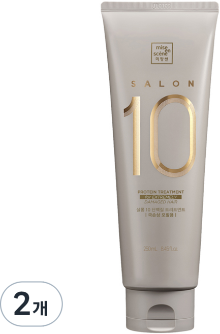 미쟝센 살롱 10 헤어트리트먼트 극손상모발용, 250ml, 2개