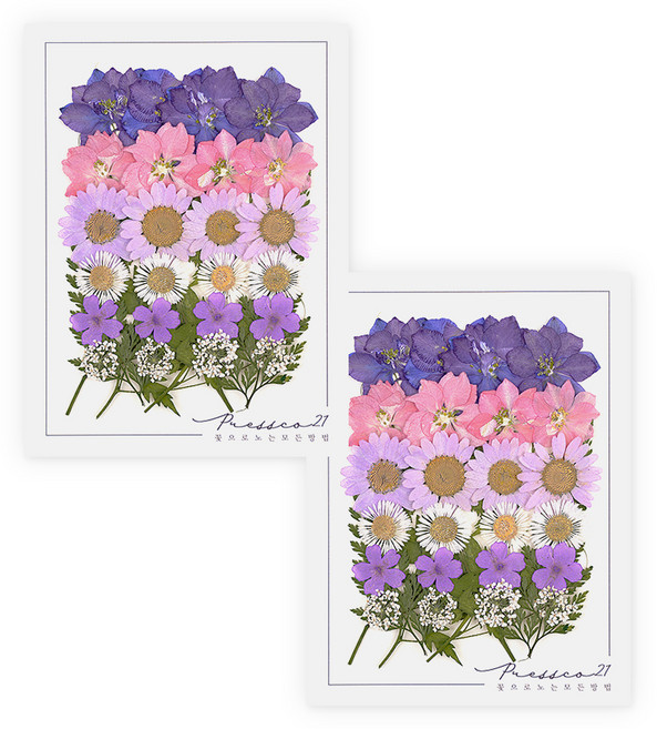 프레스코21 압화 종합팩, K126, 2개