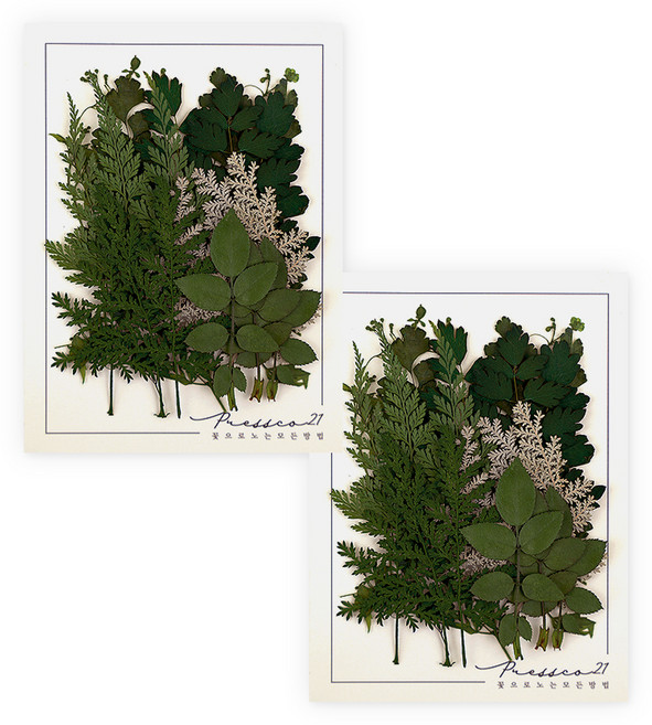 프레스코21 압화 종합팩, K118, 2개