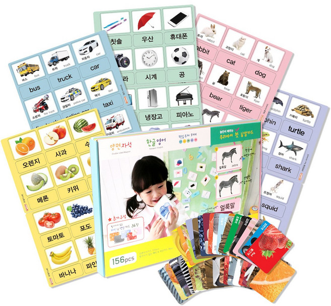 자석나라 양면자석 낱말카드, 혼합색상, 1개