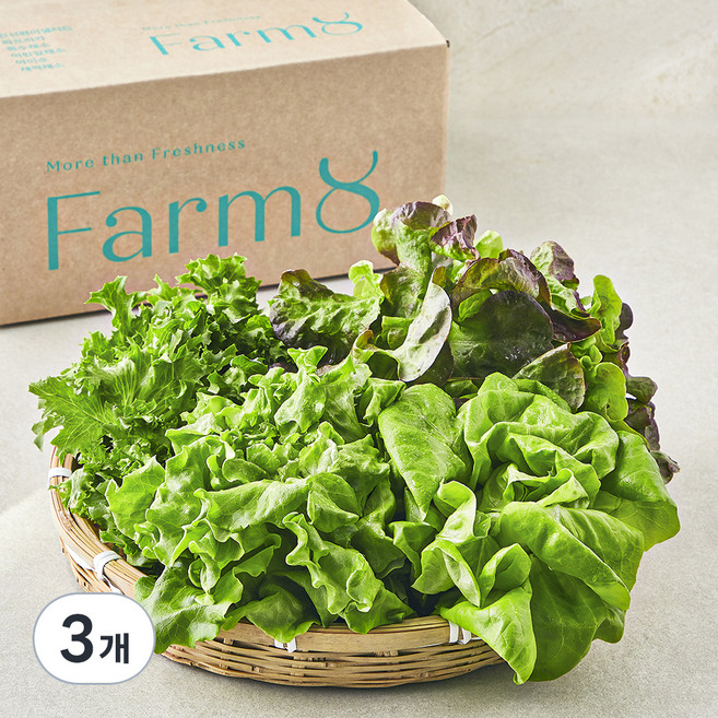 팜에이트 무농약 인증 유러피안 샐러드 꾸러미, 450g, 1개입, 3개