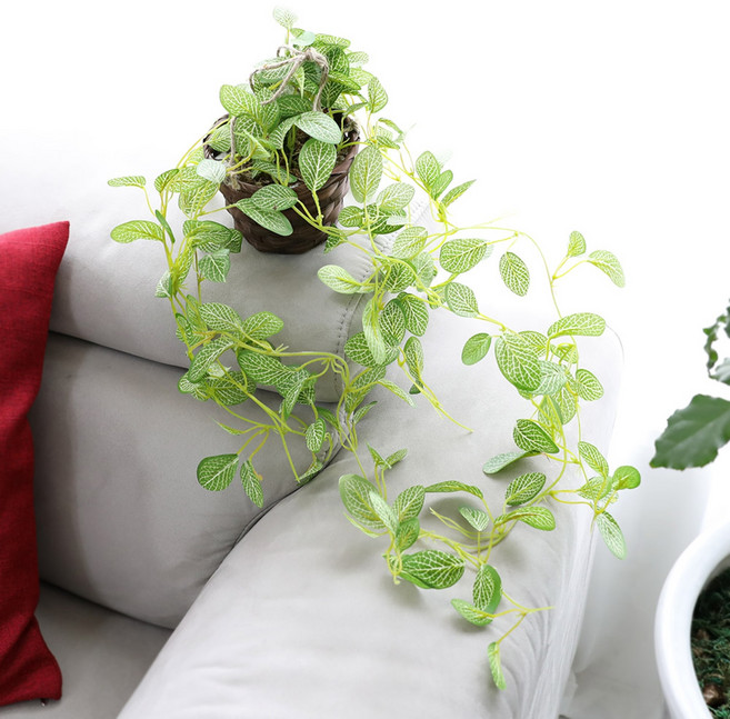 조아트 조화 행잉 바구니넝쿨, 휘토니아, 1개