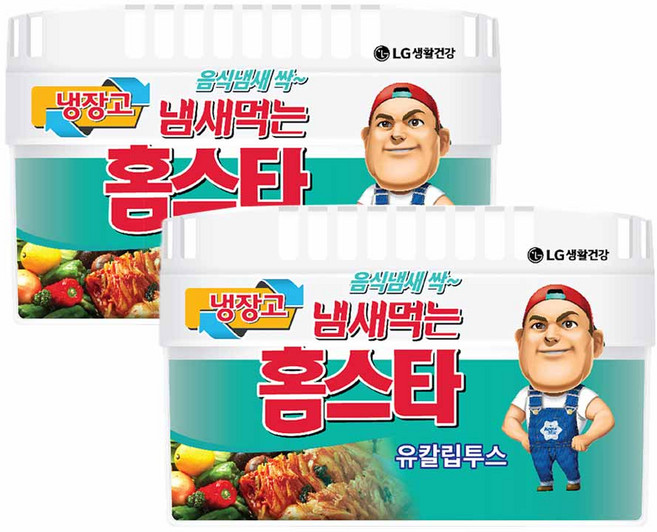 냄새먹는 홈스타 냉장고용 탈취제 유칼립투스, 420g, 2개