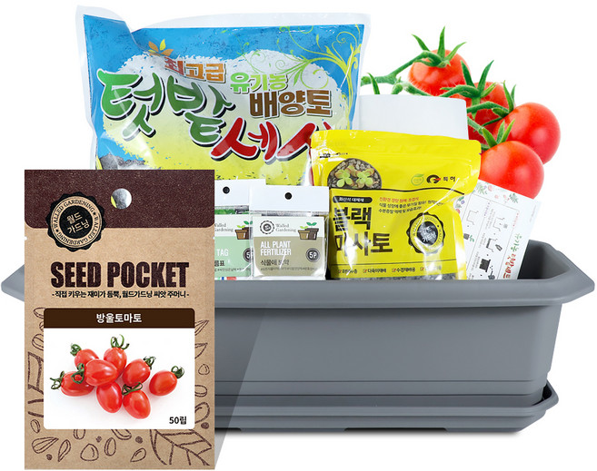 월드가드닝 채소 텃밭가꾸기세트 + 식물 이름표 랜덤발송, 방울토마토