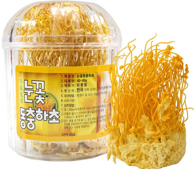 동광한방몰 눈꽃동충하초, 40g, 1개