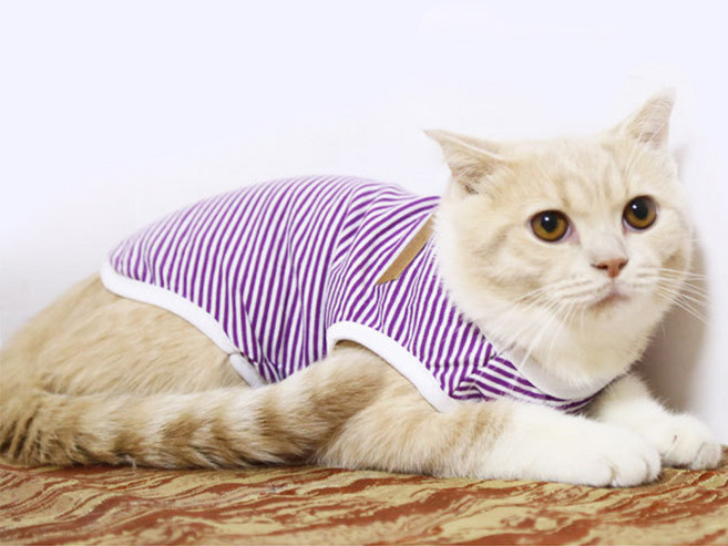 아리코 고양이&강아지 코튼 스트라이프 티셔츠, 퍼플, 1개