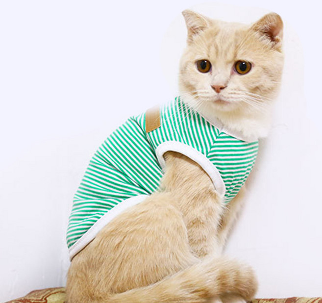 아리코 코튼 스트라이프 반려동물 티셔츠, 그린, 1개