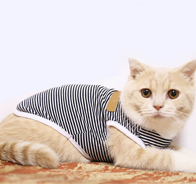 아리코 반려동물 스트라이프 티셔츠, 블랙, 1개