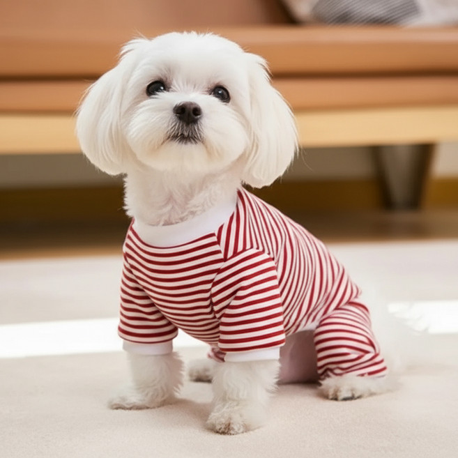 쁘띠도그 반려동물 사인 줄가라 올인원, 레드, 1개