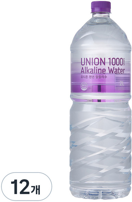 유니온천년알카리수, 2L, 12개