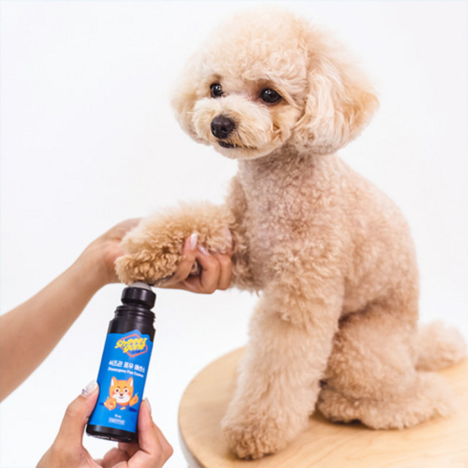 쉬즈곤 포우에센스, 75ml, 1개