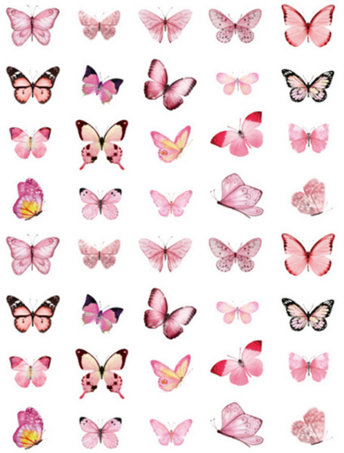 해피제이 데코 인테리어 나비 스티커 40개 세트, 분홍나비, 1세트