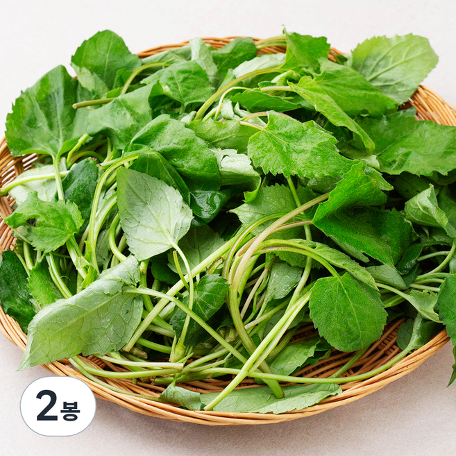 국내산 산취나물, 150g, 2개