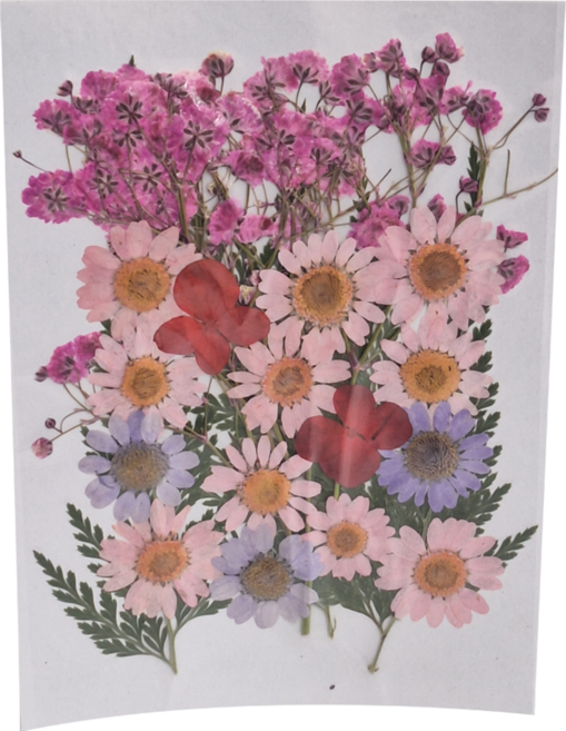 A-ONE 匯旺 真花壓花 中花包 Set 3個 - 粉紅佳人 BB04