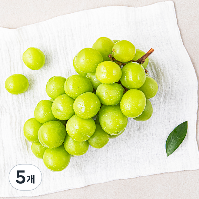 한반도 비파괴 당도선별 샤인머스캣, 500g, 5개