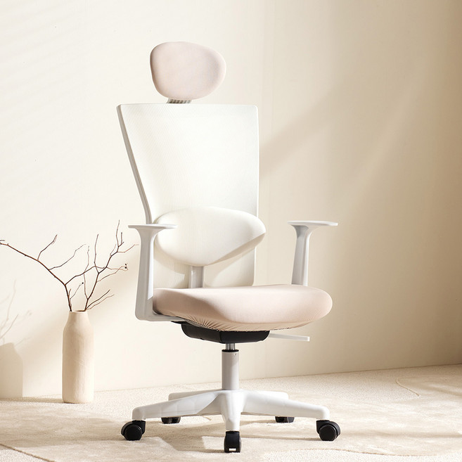 체어스코 네이처 사무용 컴퓨터 의자 허리받침세트, 베이지