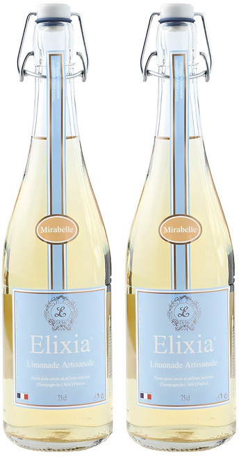 엘릭시아 자두맛 탄산음료, 750ml, 2개