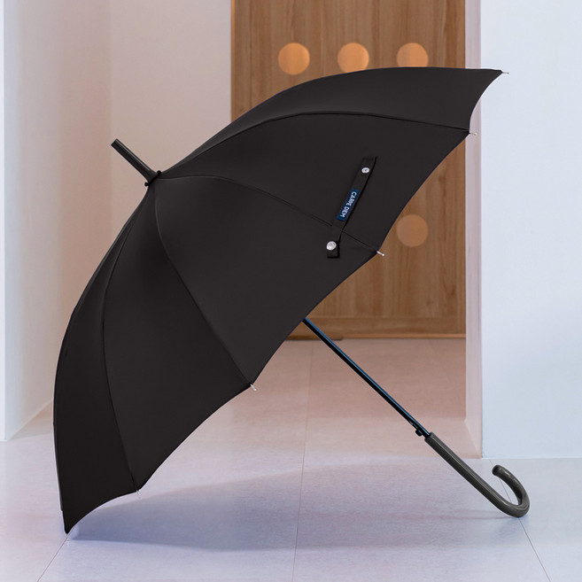 카르페디엠 스마트 베이직 자동 장우산