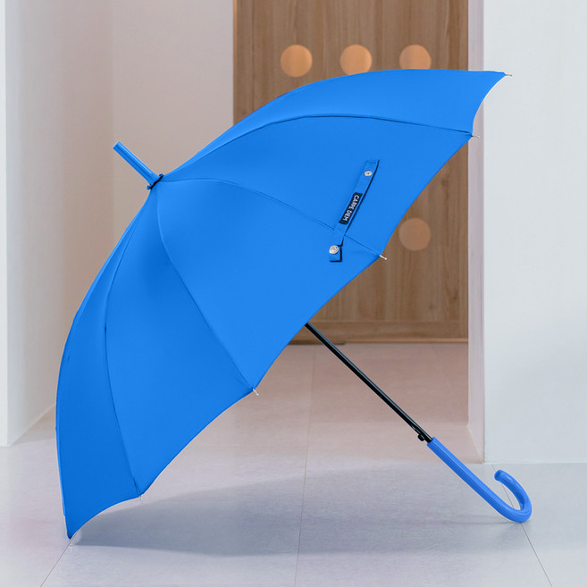 카르페디엠 스마트 베이직 자동 장우산