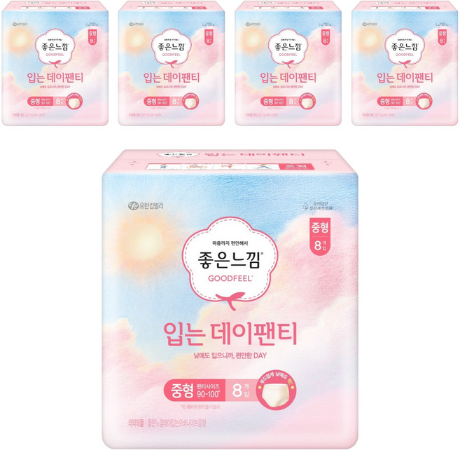 좋은느낌 입는 데이팬티 생리대, 중형, 8개입, 5개
