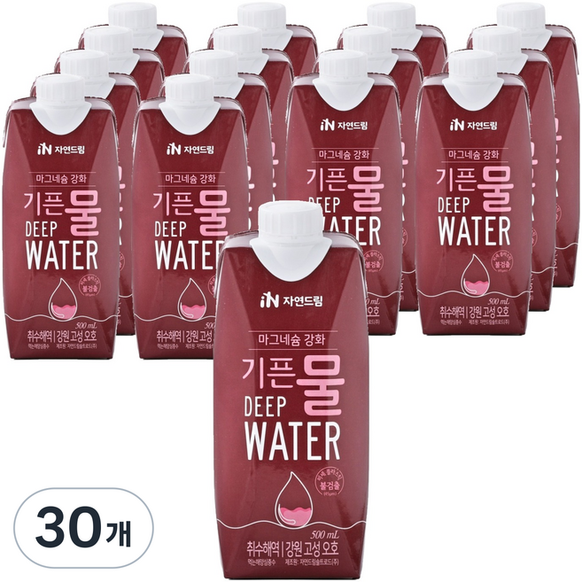 기픈물 마그네슘강화 종이팩 해양심층수, 500ml, 30개