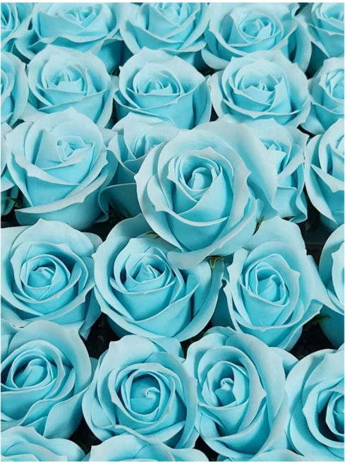 LED 珍珠冷美人玫瑰香皂花束 PVC 盒裝, 藍色