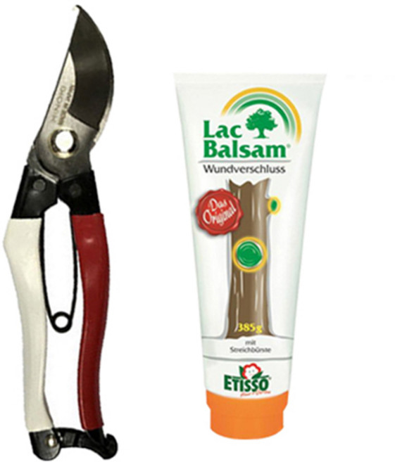 호미닷컴 나무 상처 보호 치료제 락발삼 200g + 홍백가위 세트, 1세트