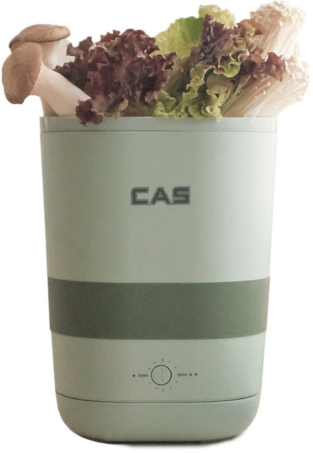 카스 과일 야채 가정용 젖병 귀금속 안경 초음파 세척기, BEGS002(그린)