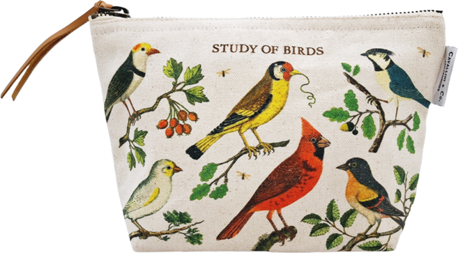 CAVALLINI&CO. 收納袋 POUCH/BRD 鳥類學