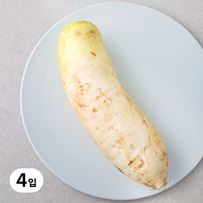 작아도 맛있는 무, 600g, 1개입, 4입