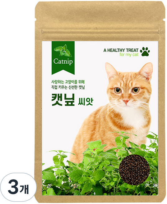 캣닢 씨앗, 3개