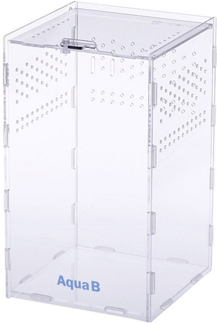 아쿠아비 파충류 아크릴 블록 사육장, 투명, 1개