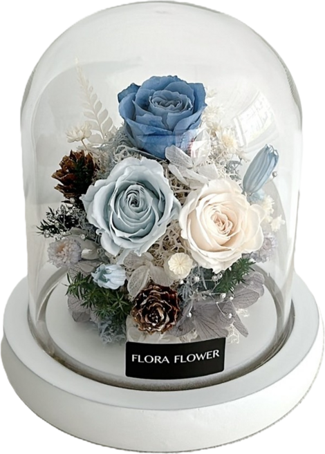 FLORA FLOWER 芙蘿拉 迷你永生花夜燈 10直徑 12 x 11cm, 藍白植物