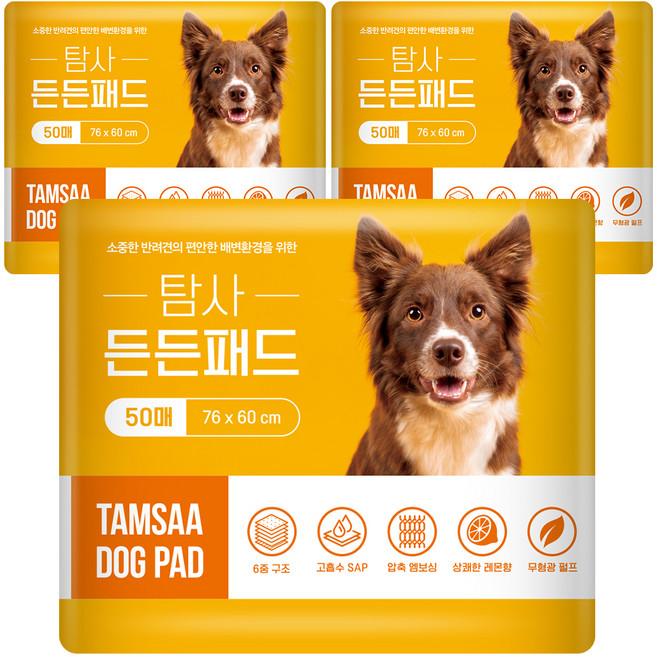 탐사 고흡수 든든패드 레몬향, 50개입, 3개
