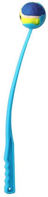 애견 훈련용 공던지기 장난감, 블루, 1개