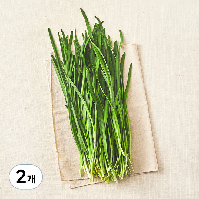 국내산 친환경 부추, 200g, 2개