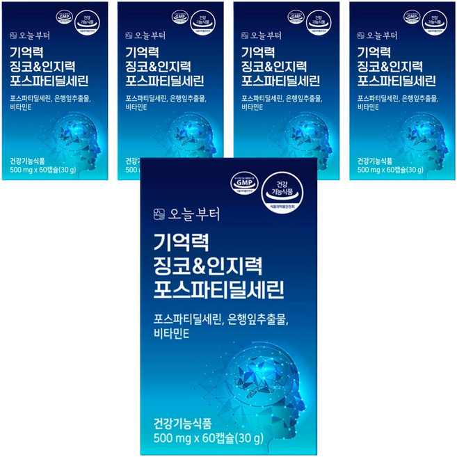 오늘부터 기억력 징코&인지력 포스파티딜세린, 60정, 5개