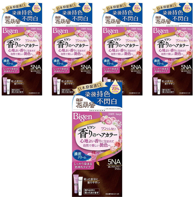 Bigen 美源 花果香快速染髮霜, 5NA自然暖棕色, 5盒