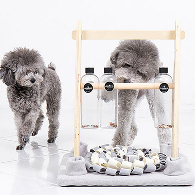 딩동펫 노즈워크 나무 해바라기 40x40 L, 그레이, 1개