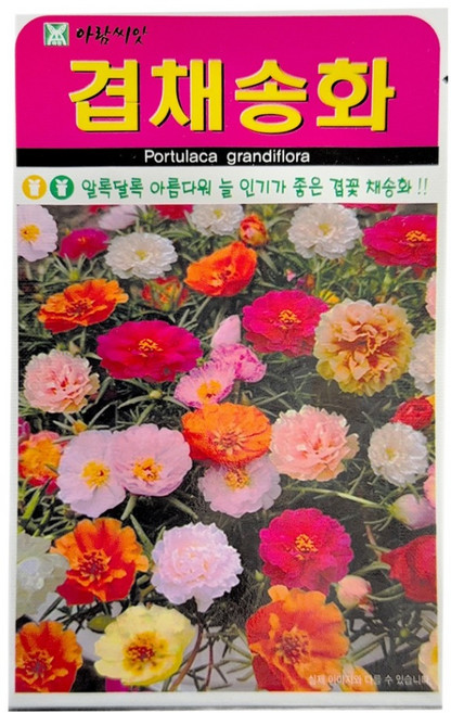 아람종묘 겹채송화 꽃 씨앗 1000립, 1개