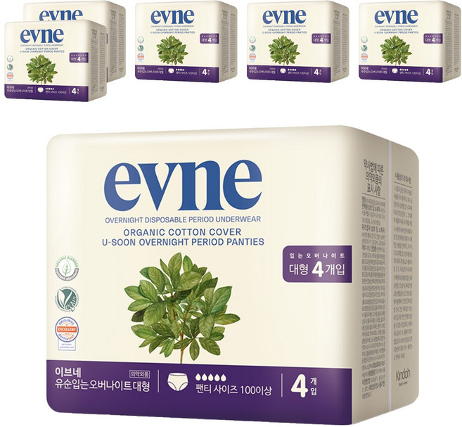 이브네 유순 입는 오버나이트, 대형, 4개입, 6개