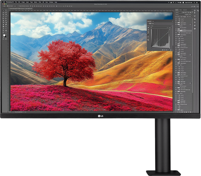 LG전자 4K UHD 울트라HD 모니터 방문설치, 80cm, 32UN880K