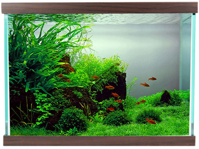 MOBYDICK 現代魚缸 A300 + 蓋子, 巧克力色