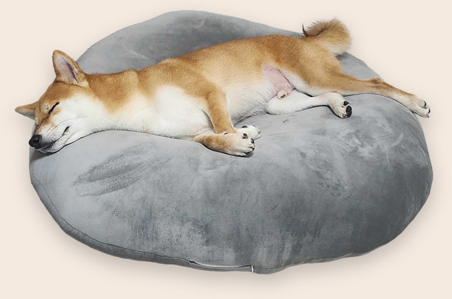 펫코노미 반려동물 찹쌀모찌 필로우 쿠션, 챠콜, 1개