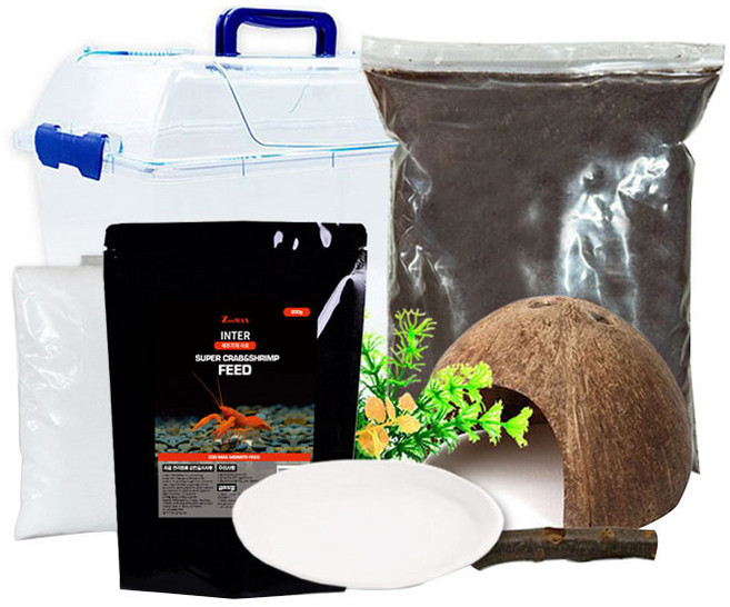 로라펫 소라게 키우기 세트 코코피트, 혼합색상, 1개